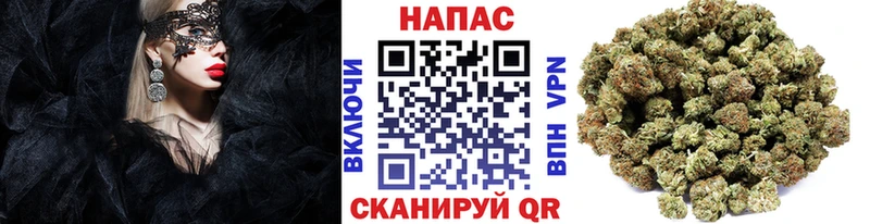 Марихуана план  купить   Бавлы 